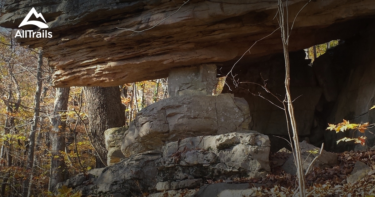 Best Trails near McMinnville, Tennessee AllTrails