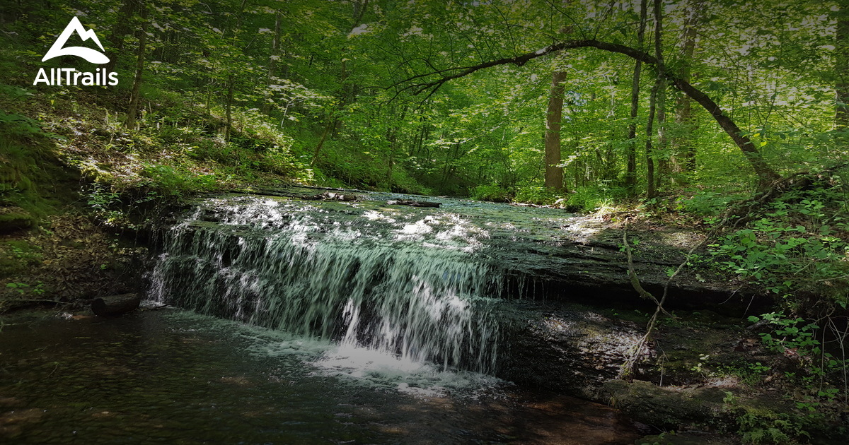 Best Trails near Mount Pleasant, Tennessee AllTrails