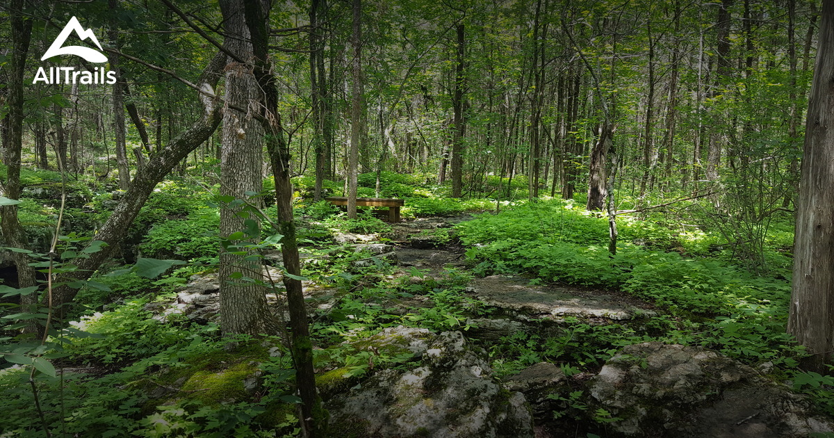 Best walking trails in Murfreesboro, Tennessee AllTrails