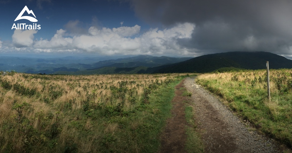 Best Trails near Roan Mountain, Tennessee AllTrails