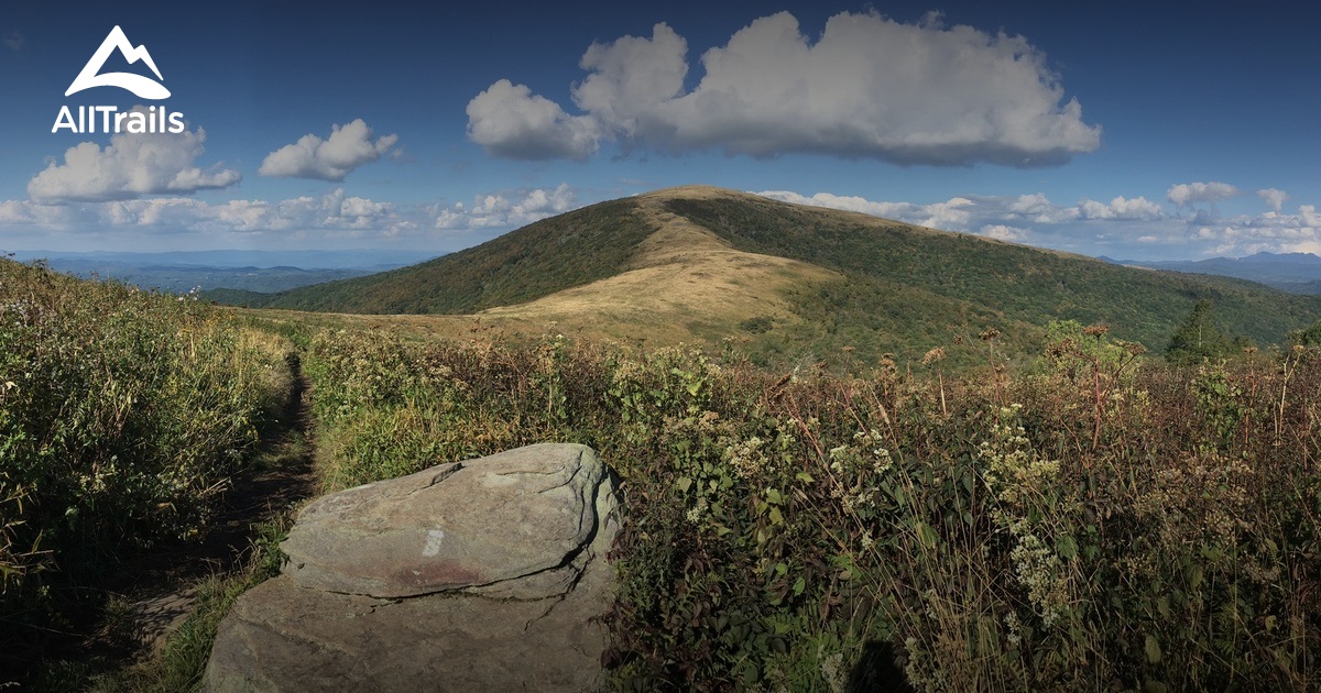 Best Trails near Roan Mountain, Tennessee AllTrails