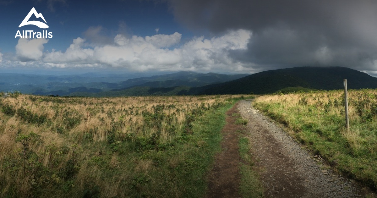 are dogs allowed in the roan highlands