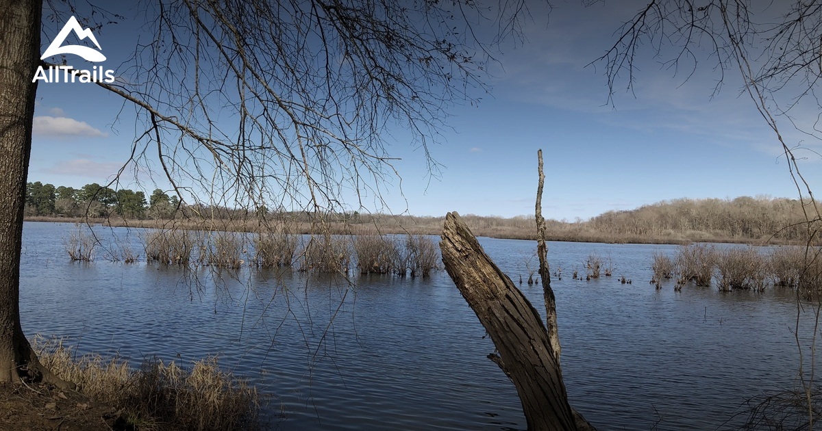 Best hikes and trails in Jacksonville AllTrails