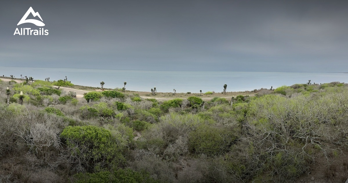 Best Stroller Friendly Trails in Lozano AllTrails