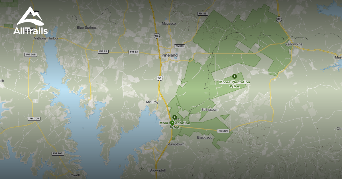 Best Backpacking Trails in Pineland AllTrails