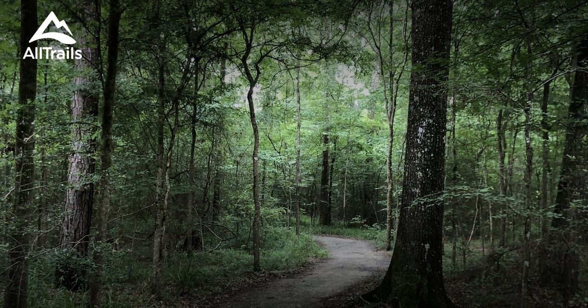 Best Hikes and Trails in Willis AllTrails