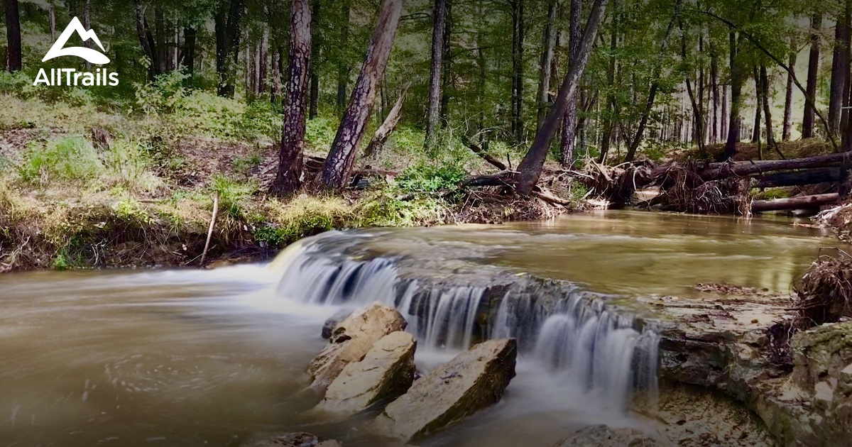 Best Hikes and Trails in Zavalla AllTrails