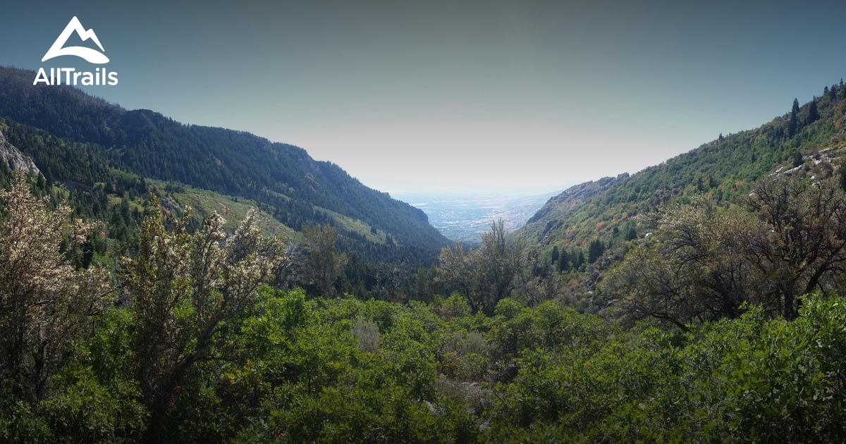 10 Best Trails and Hikes in Alpine AllTrails