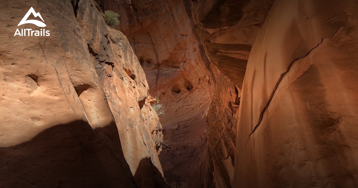 Best Hikes and Trails in Bicknell AllTrails