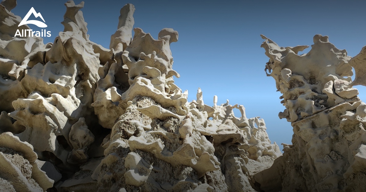 2023 Best Off Road Driving Trails in Bonanza AllTrails