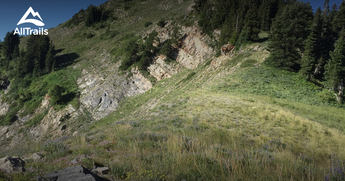 Best hikes and trails in Copperton AllTrails