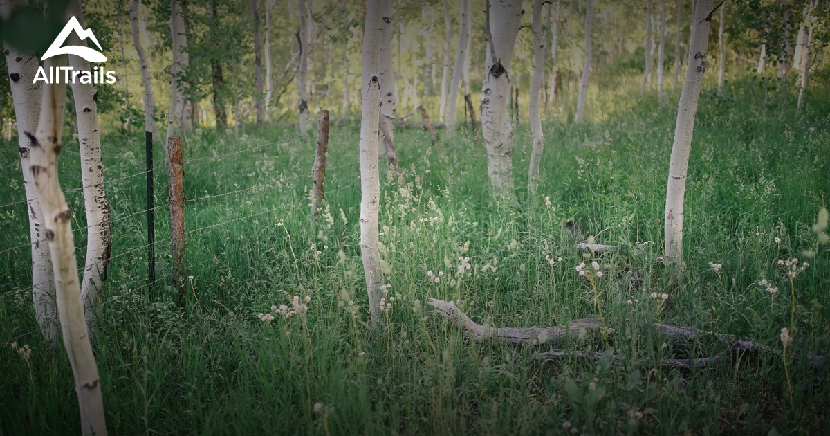 Best Trails near Fairview, Utah AllTrails