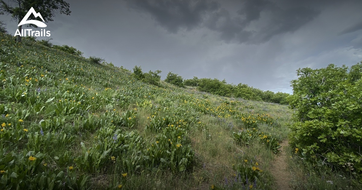 Best Hikes and Trails in Fruit Heights AllTrails