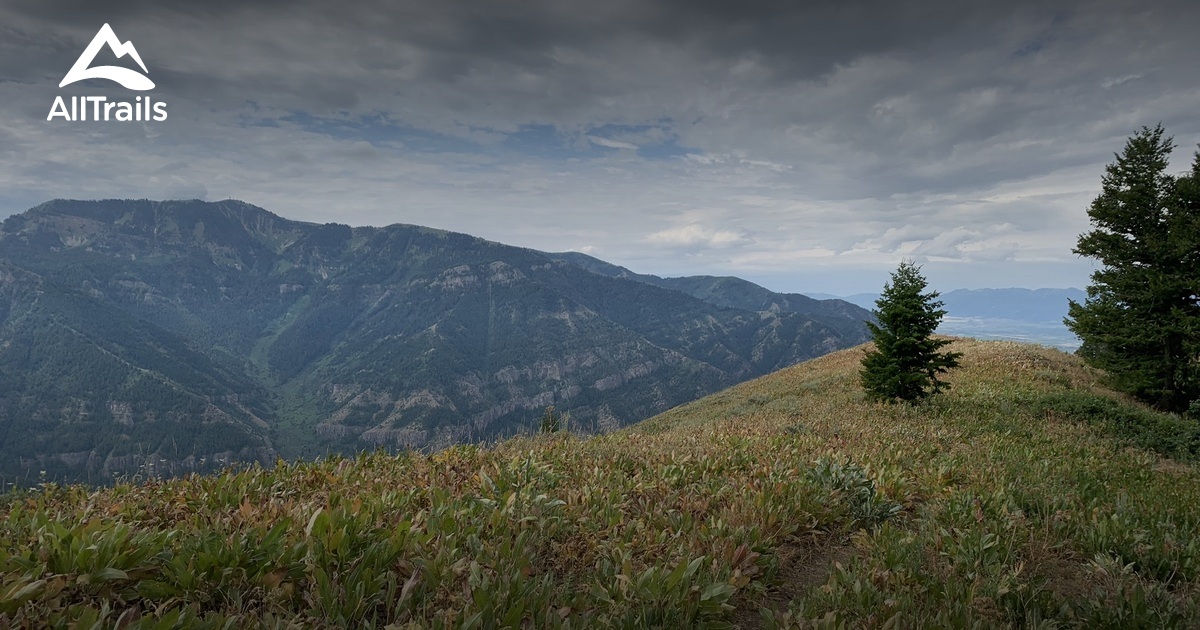 Best Hikes and Trails in Hyde Park AllTrails