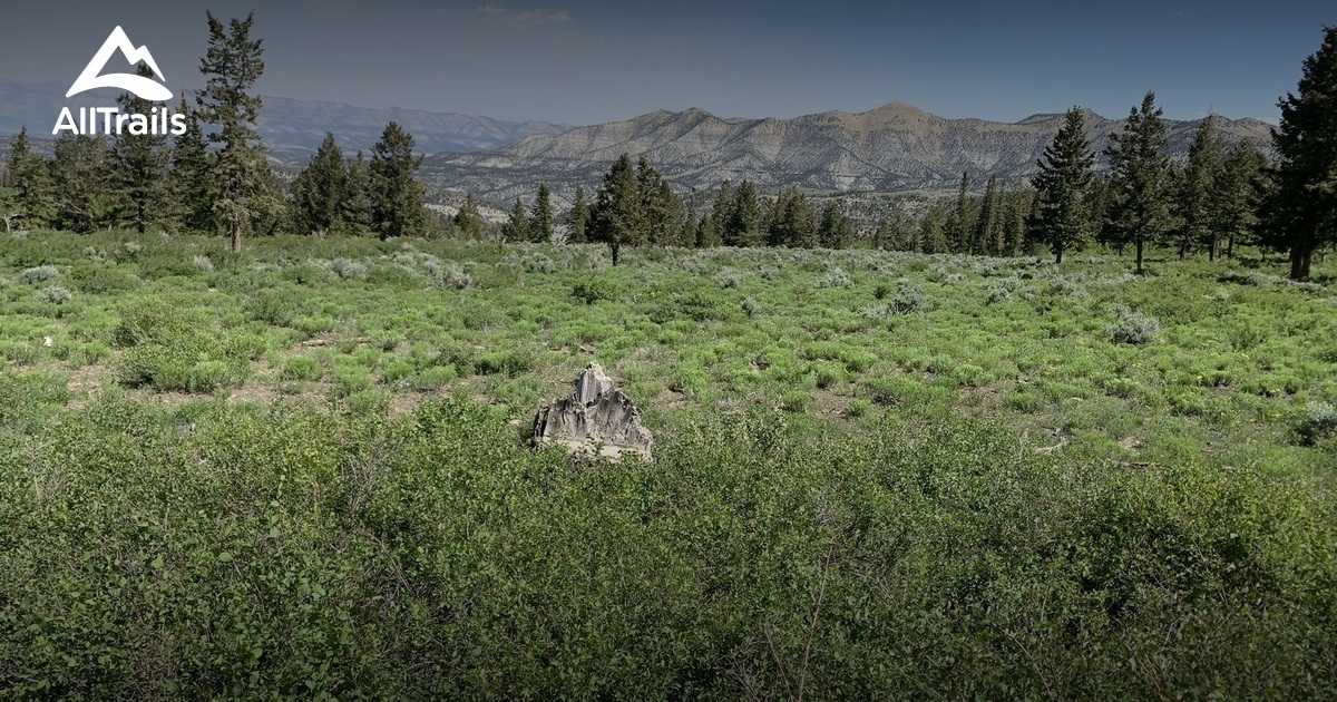 Best Hikes and Trails in Kenilworth AllTrails