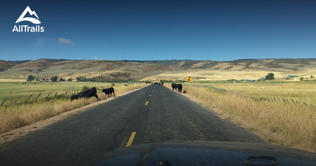 Best trails in Laketown, Utah AllTrails