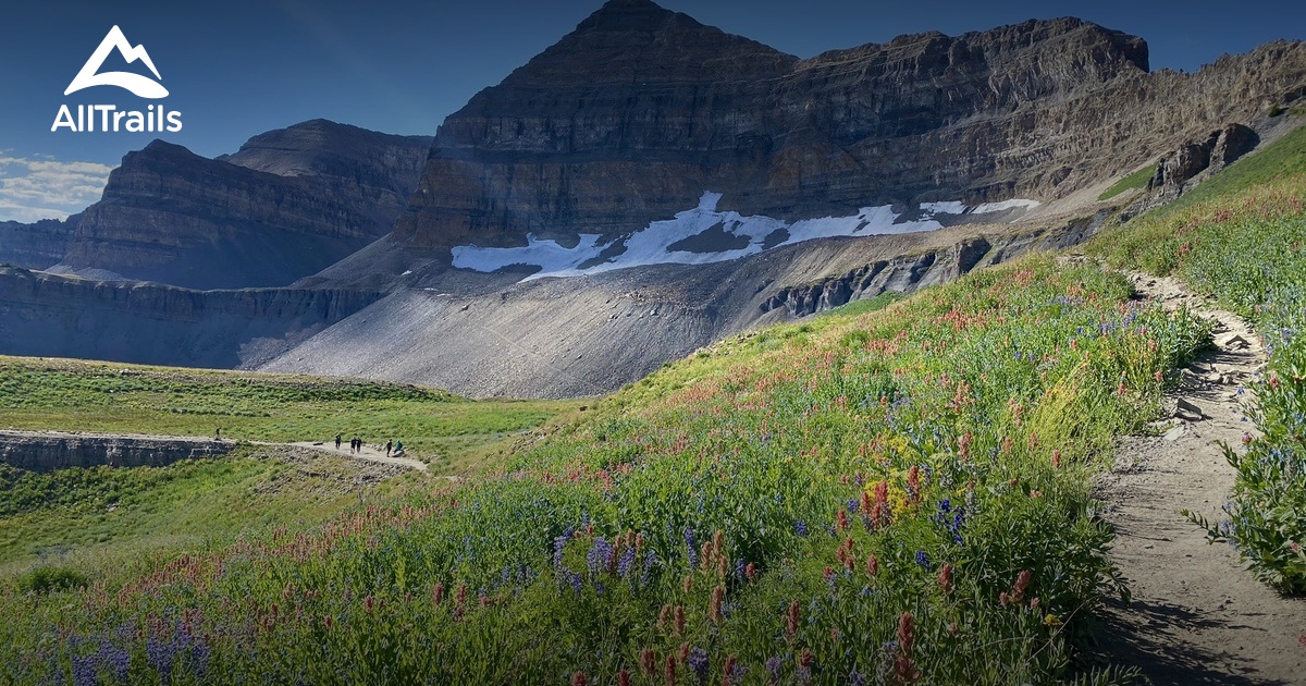2023 Best Backpacking Trails in Mutual Dell AllTrails
