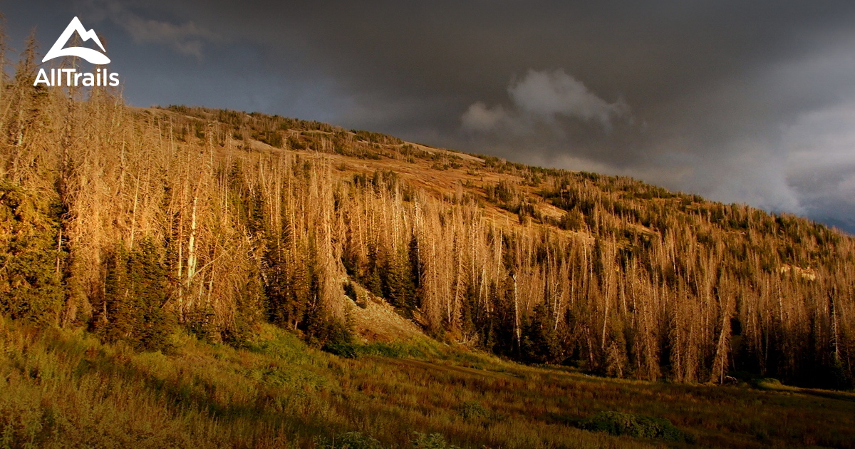 Best Hikes and Trails in Spring City AllTrails