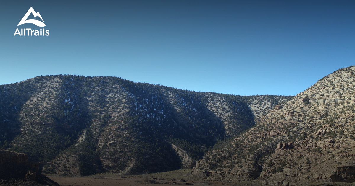 Best Dog Friendly Trails in Wellington AllTrails