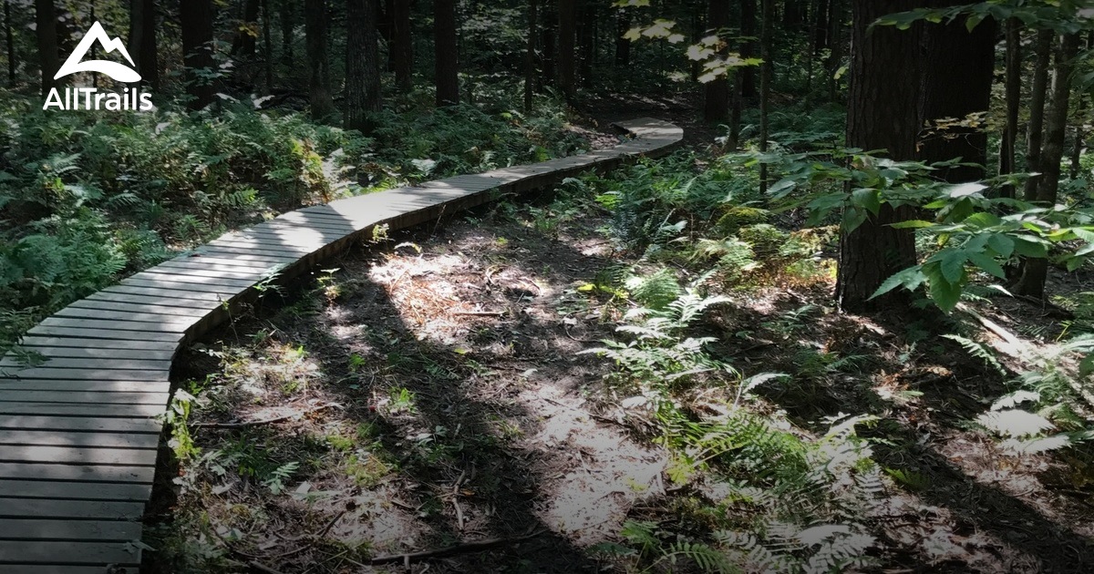 Suburban Serenity: 5 Stunning Hiking Trails in Essex – Vermont Suburban Serenity: 5 Stunning Hiking Trails in Essex – Vermont