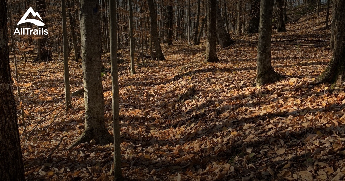 Best Hikes and Trails in Fairfax AllTrails