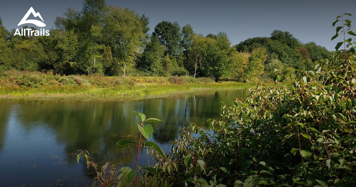 Best Hikes and Trails in Pittsford AllTrails