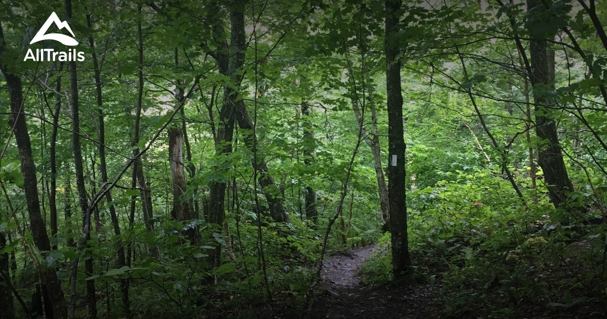 2023 Best Forest Trails in Westfield AllTrails