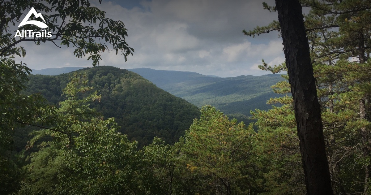 Best Trails near Bastian, Virginia AllTrails