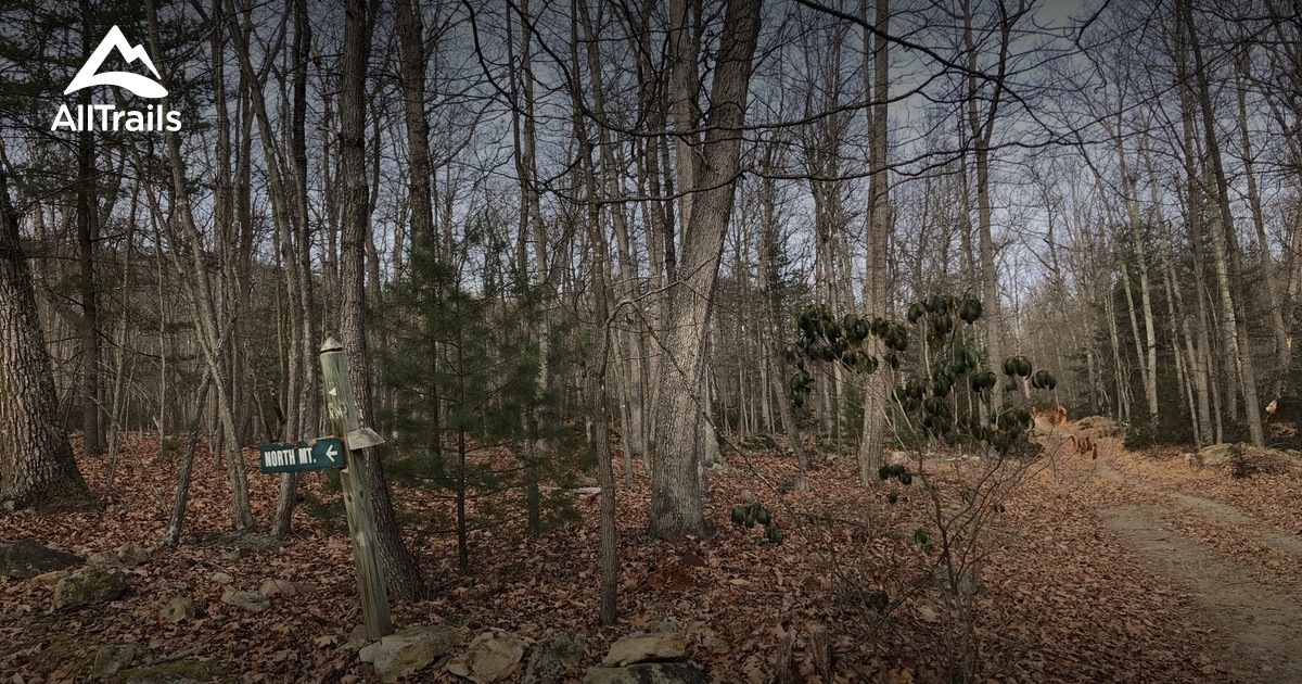 Best Trails near Basye, Virginia AllTrails