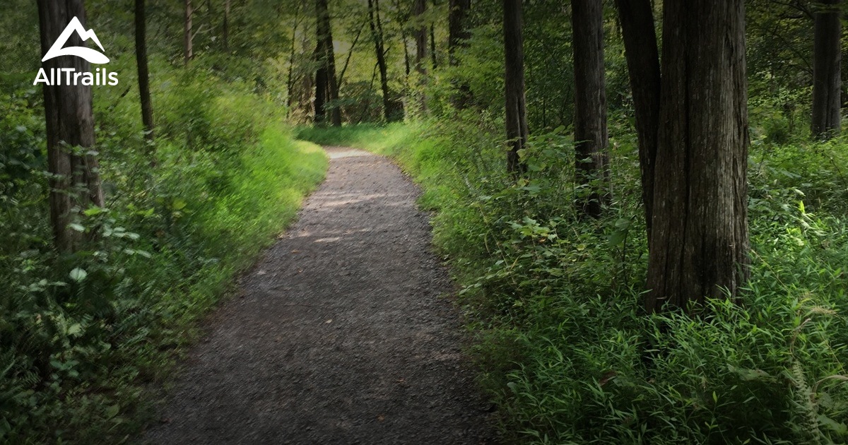 Best Hikes and Trails in Catharpin AllTrails