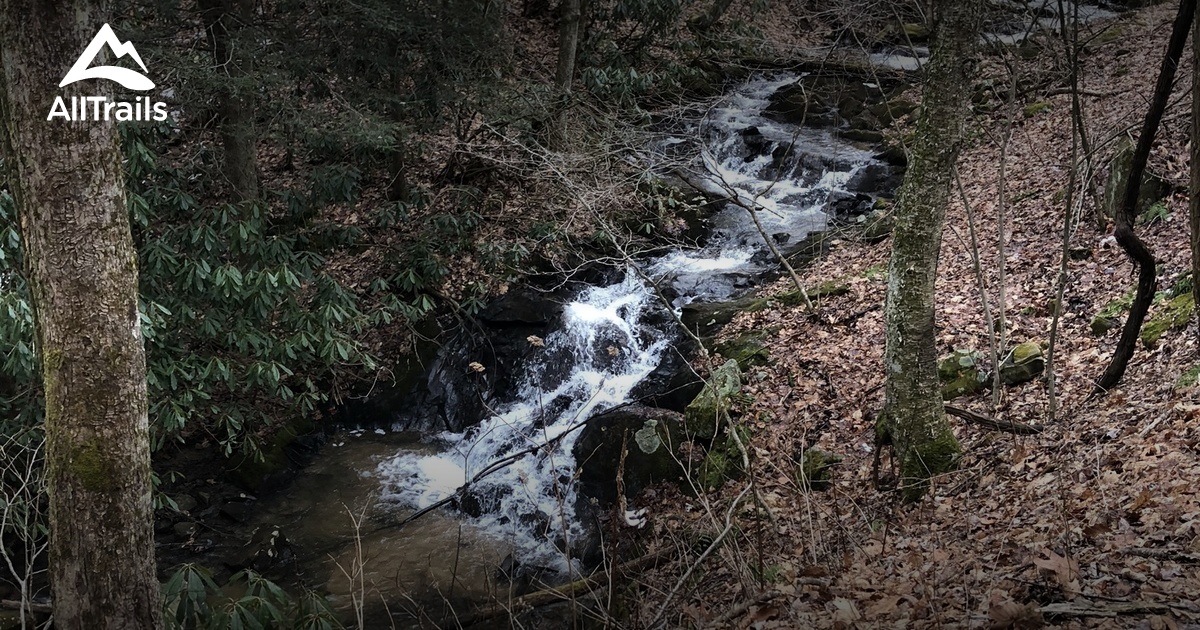 Best Trails near Chilhowie, Virginia AllTrails