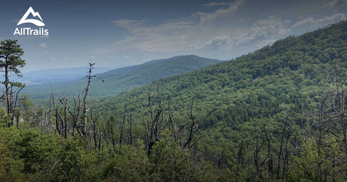 10 Best Trails and Hikes in Dyke AllTrails