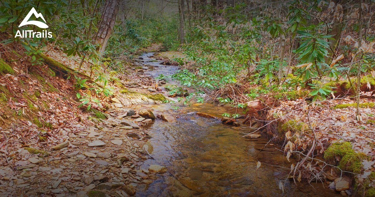 Best trails in Elk Creek, Virginia AllTrails