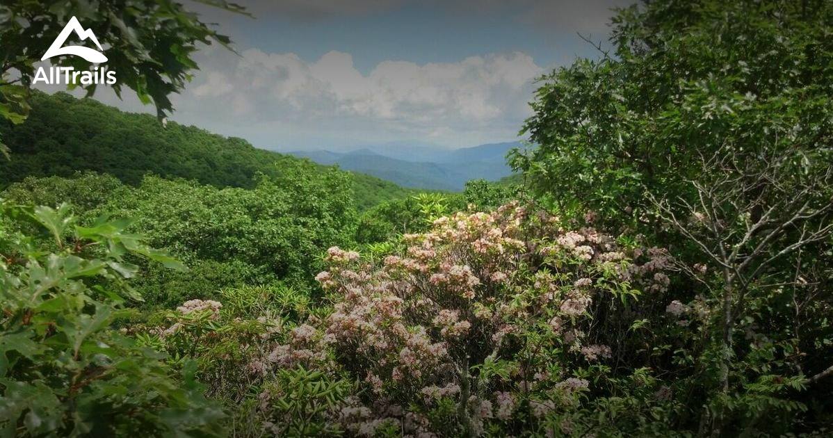 Best Trails near Montebello, Virginia AllTrails