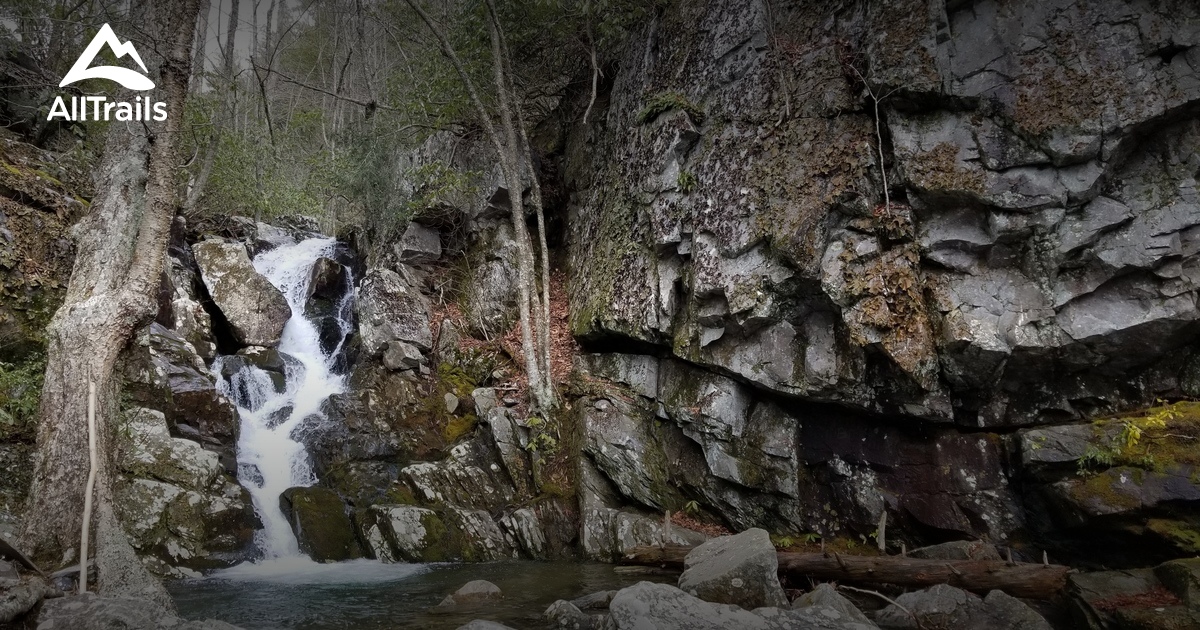 Best Trails near Montebello, Virginia AllTrails