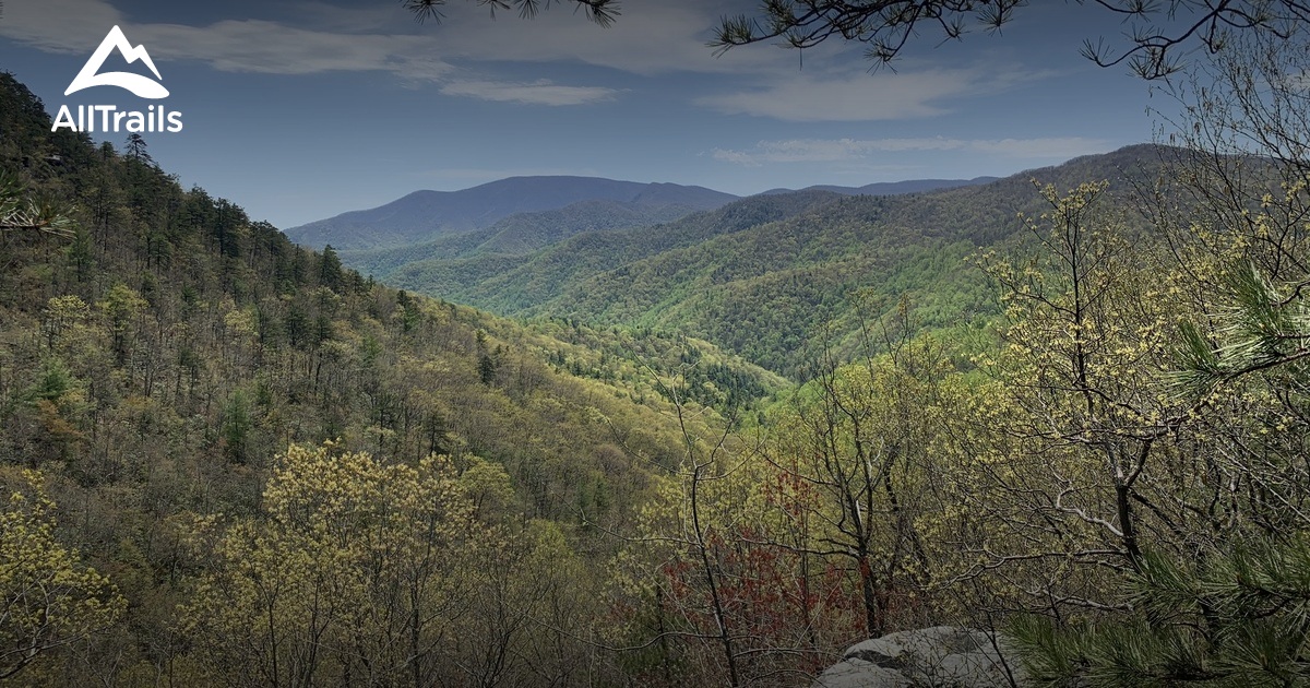 10 Best Trails and Hikes in Montebello AllTrails