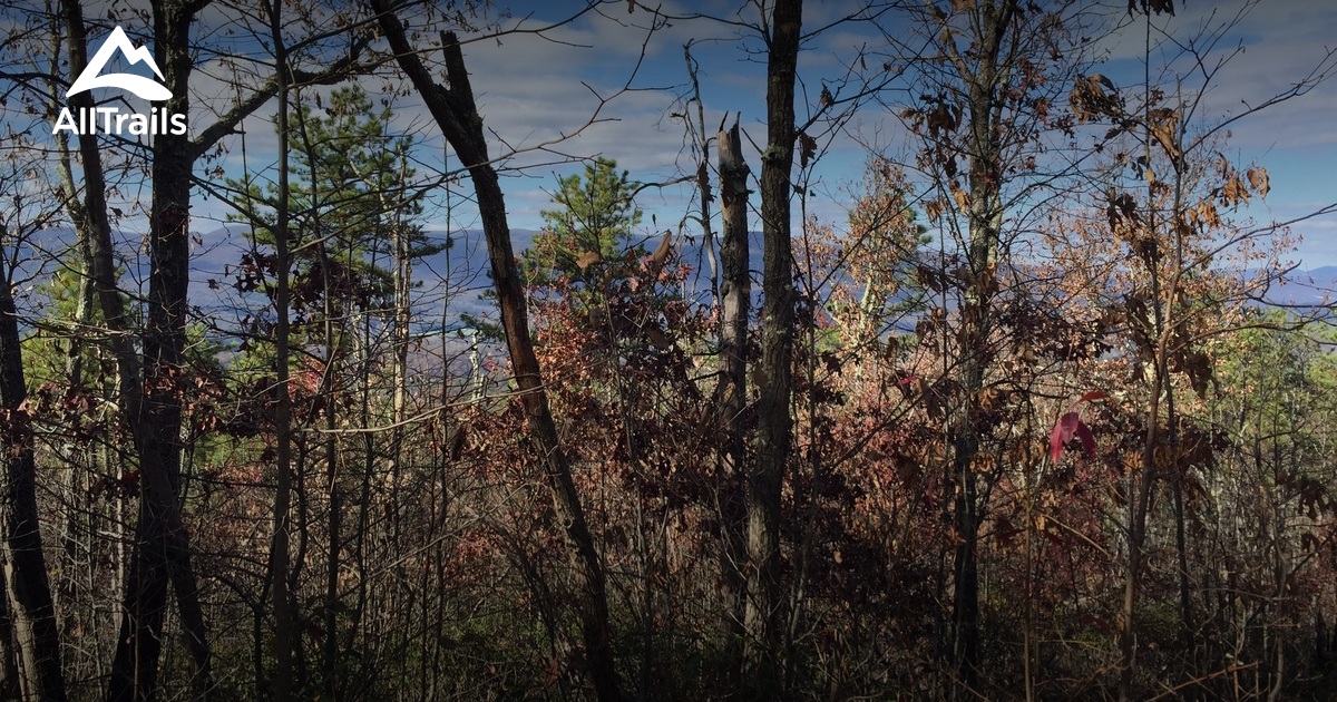 2023 Best River Trails in Oriskany AllTrails