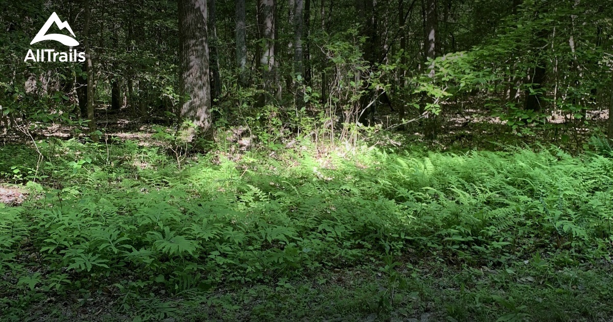 Best Hikes and Trails in Providence AllTrails