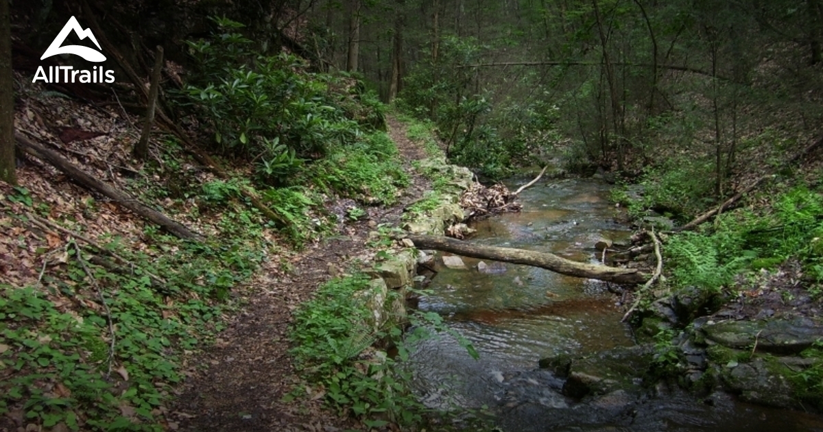 Best Historic Site Trails in Speedwell AllTrails