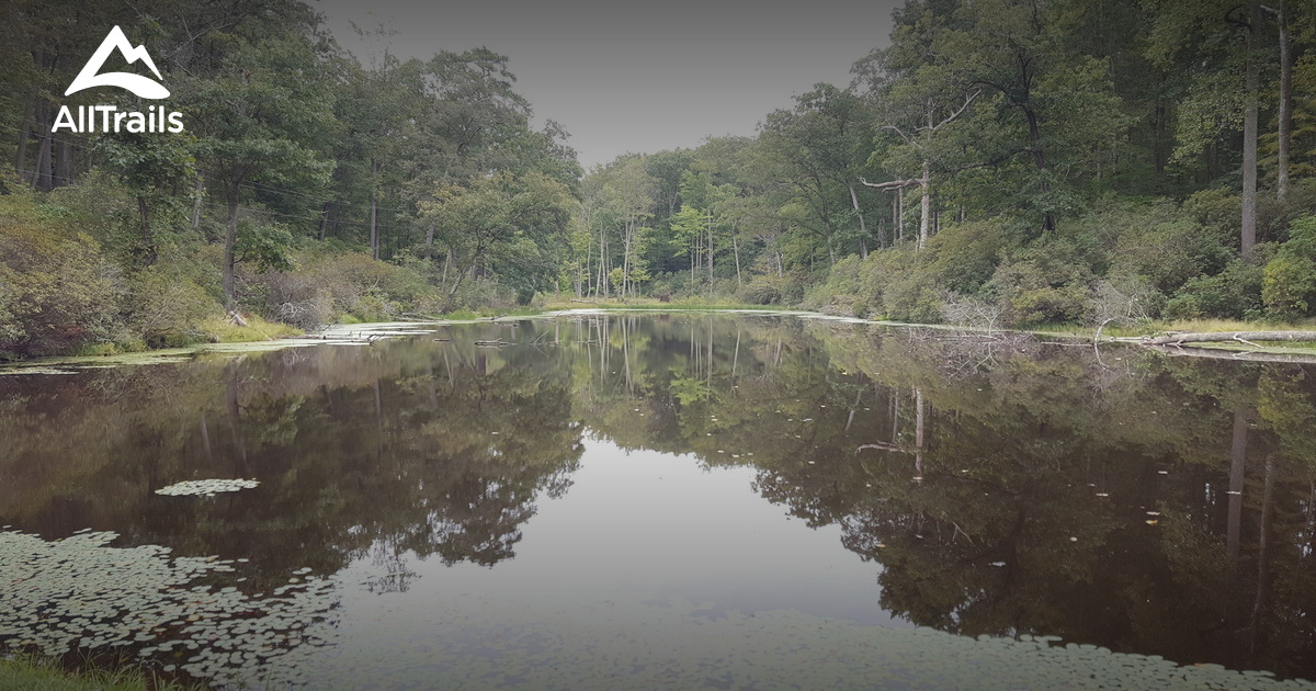 Best Forest Trails in Stratford AllTrails