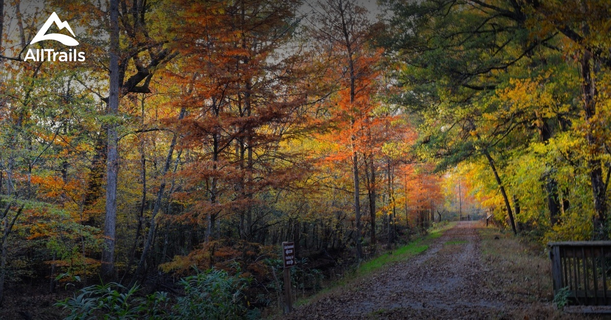 Best Trails near Suffolk, Virginia