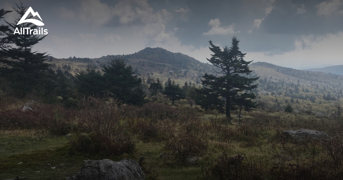 Best Trails near Troutdale, Virginia AllTrails