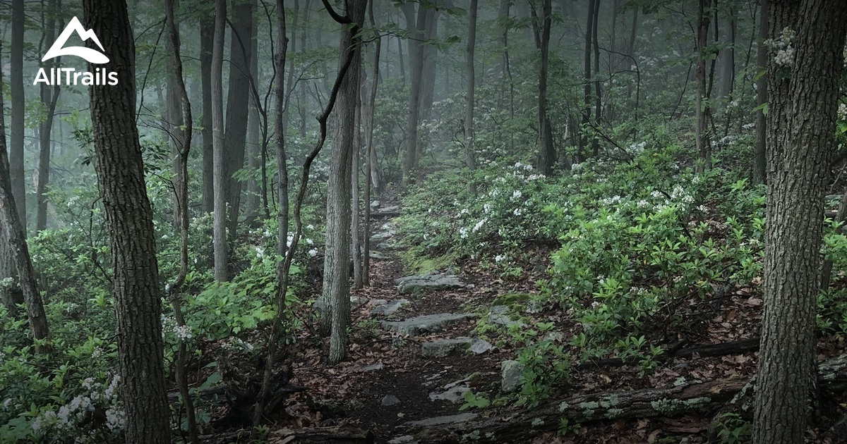 10 Best Trails and Hikes in Winchester AllTrails