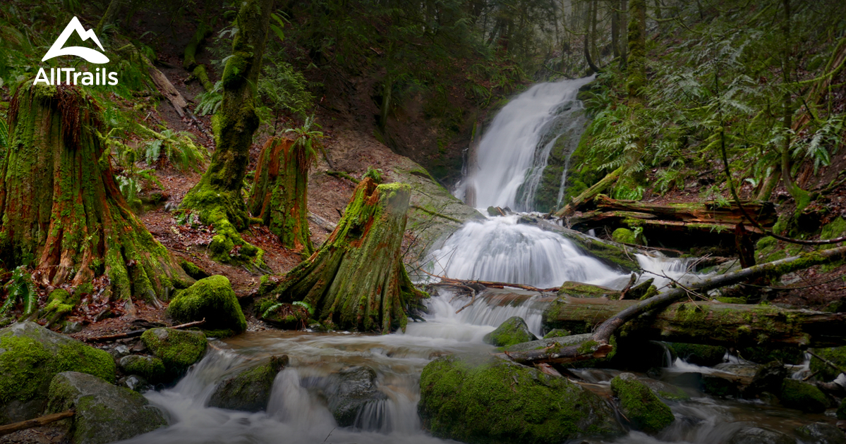 Modern Serenity: 5 Scenic Hiking Trails in Bellevue – Washington