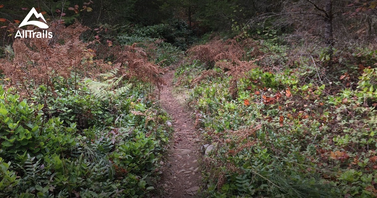 black diamond trails near me