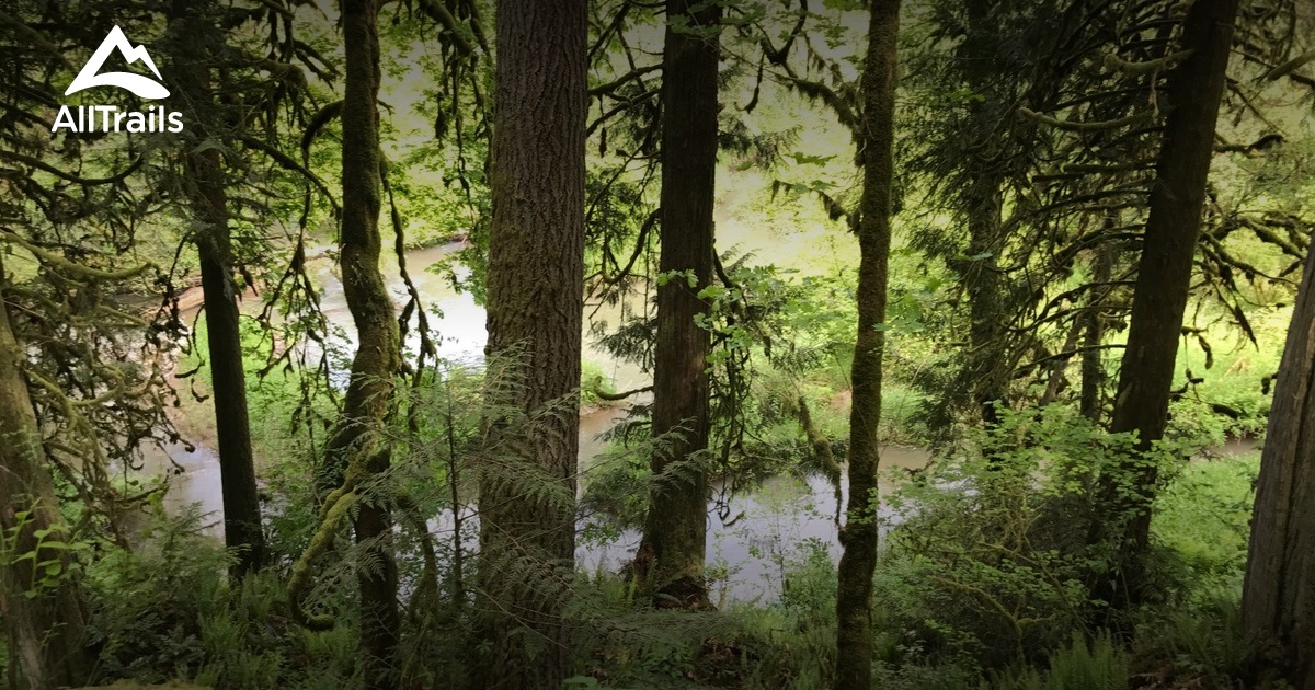 Best Trails near Brush Prairie, Washington AllTrails