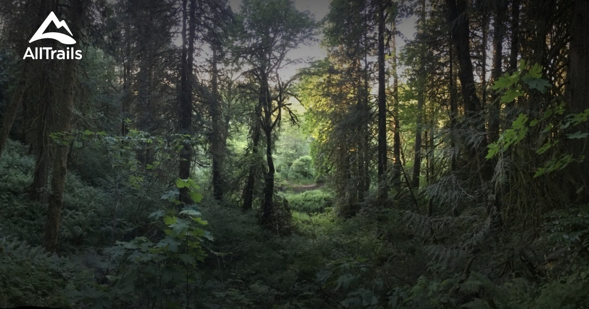 Best trails in Brush Prairie, Washington AllTrails