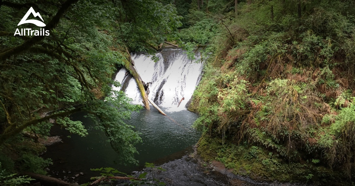 Best 10 Trails and Hikes in Camas | AllTrails