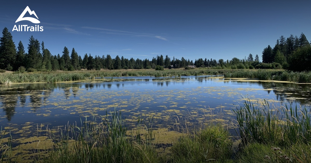 10 Best trails and hikes in Cheney AllTrails