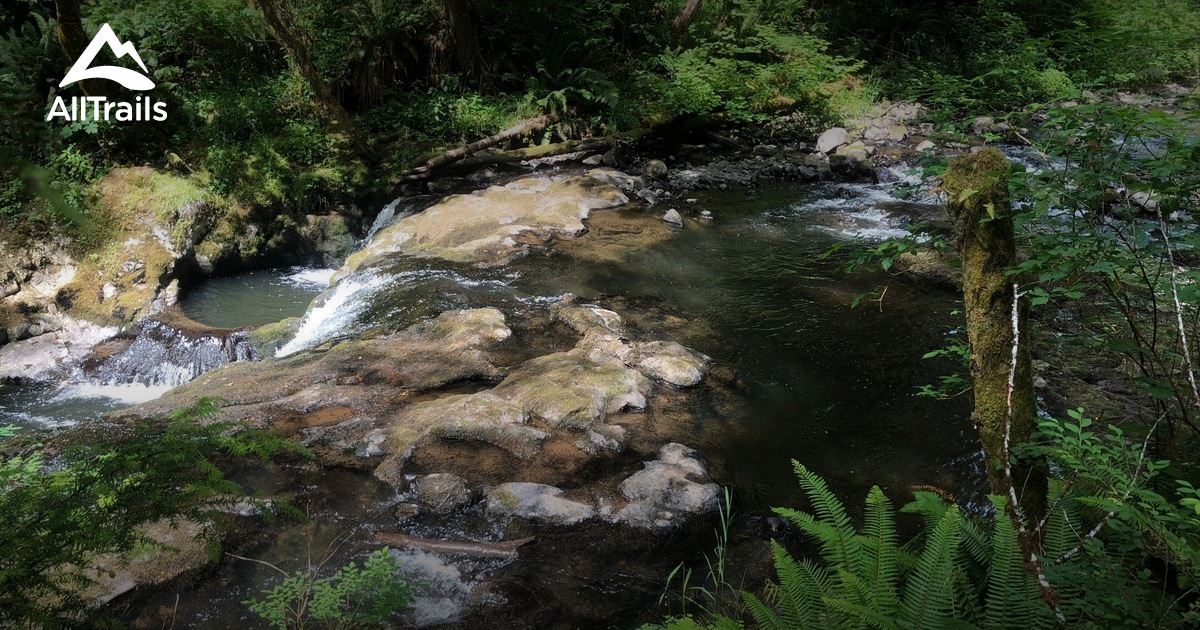 Best Trails near Elma, Washington AllTrails